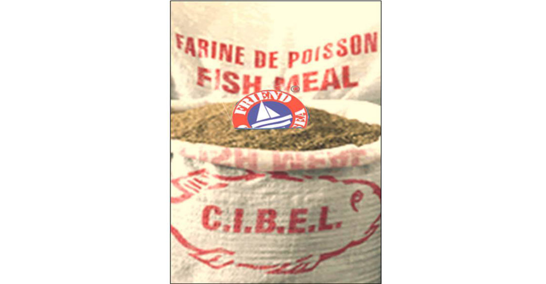 FoS promotes circular economy in Morocco certifying Cibel sustainable fishmeal and fish oil