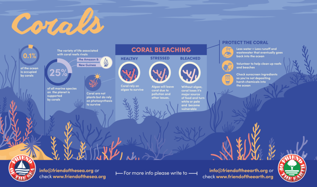 Save the Corals