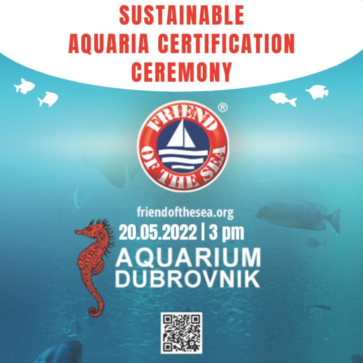Aquarium Dubrovnik