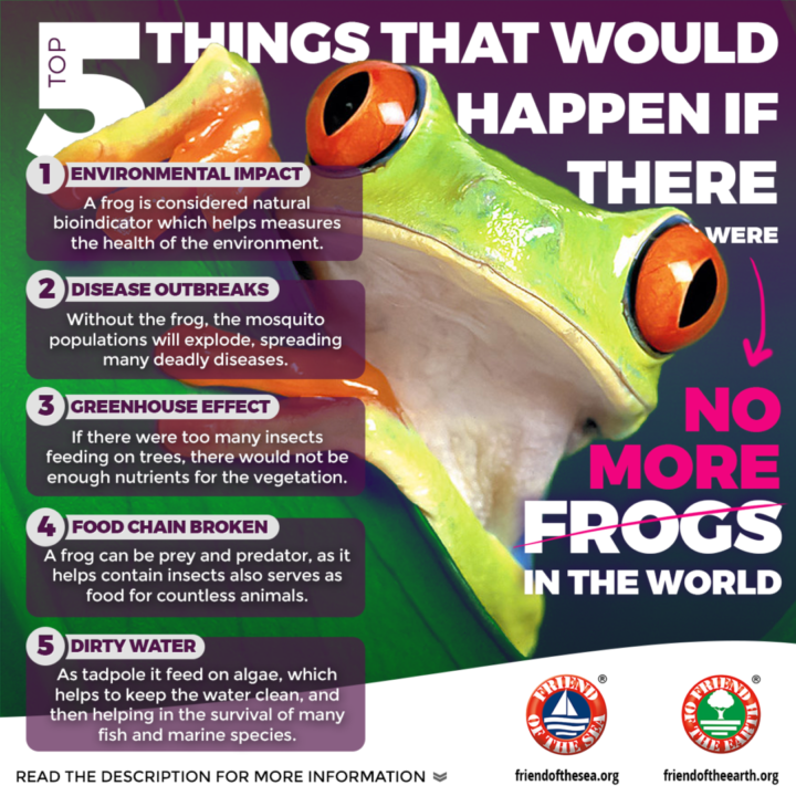 If no more Frogs in the World