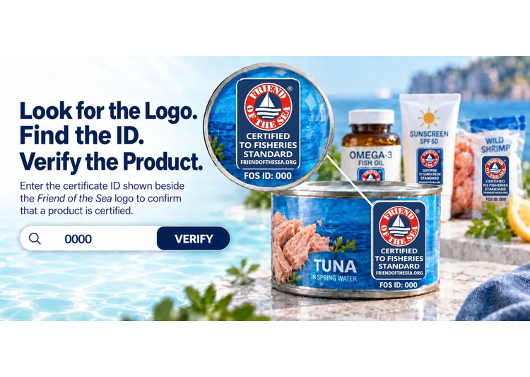 Produtos e empresas sustentáveis post image