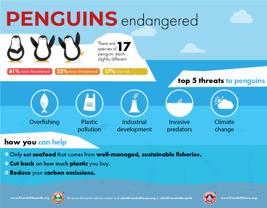 Save The Penguins | Campaign To Save The World’s Penguin - FOS