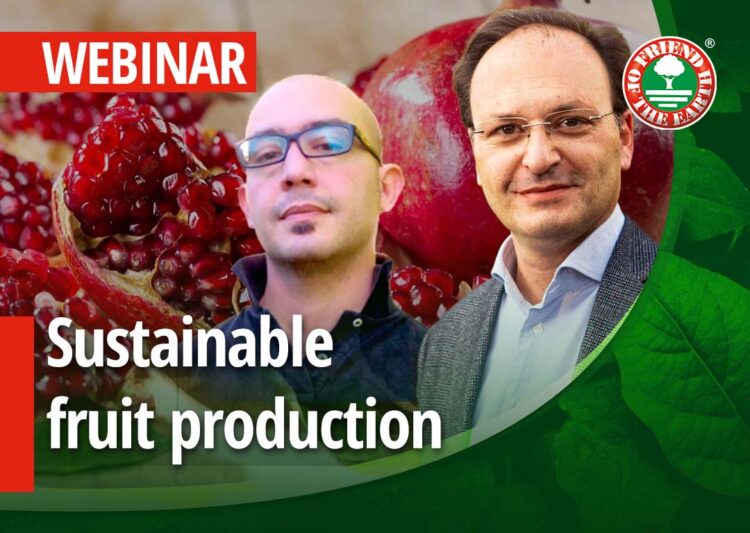 Webinar on “Sustainable fruit production and sustainability certifications. Case Study: Pomegranate by Masseria Fruttirossi certified Friend of the Earth.” 24th of November 2021 at 3:00 pm in Milan, CET. post image