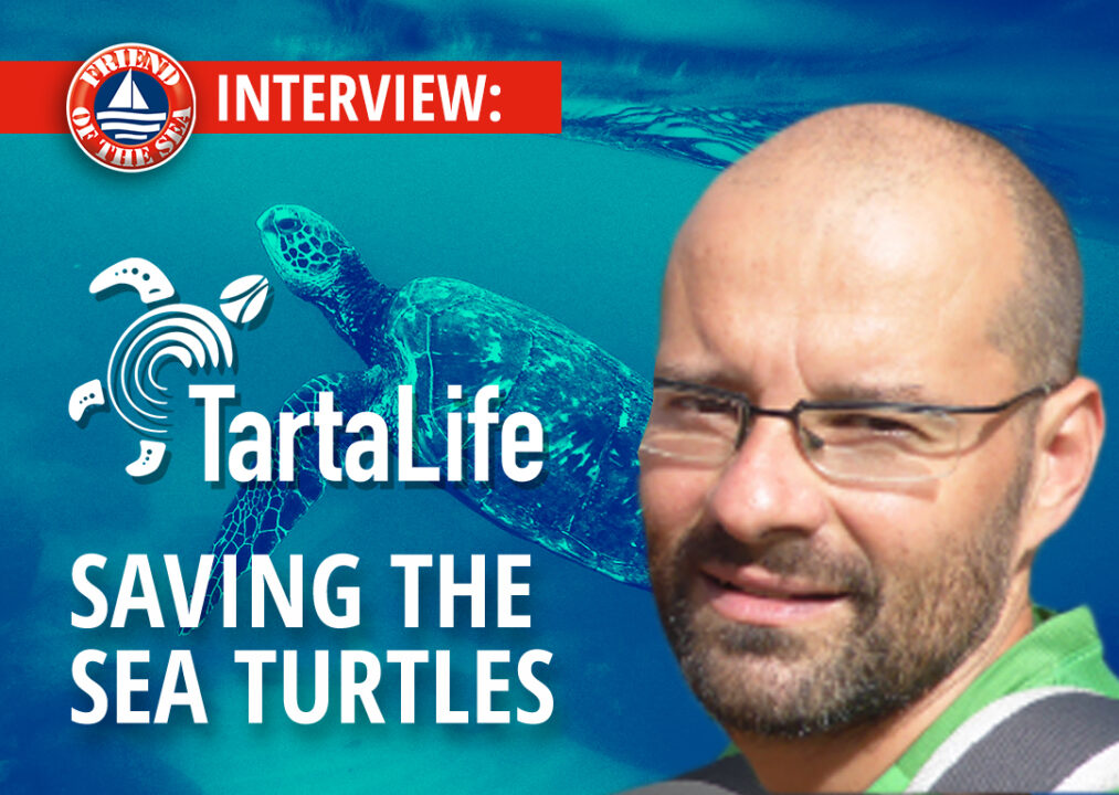 INTERVIEW: Tartalife: Reduction of sea turtle mortality in the professional fishing post image