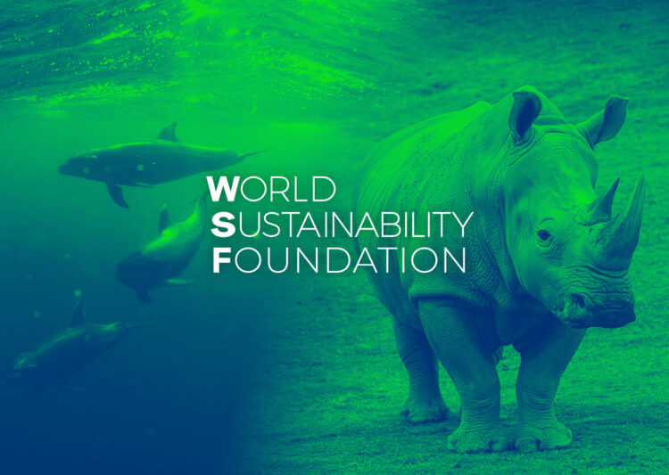 The World Sustainability Foundation post image