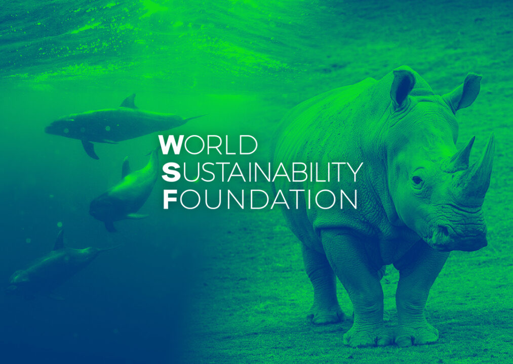 The World Sustainability Foundation
