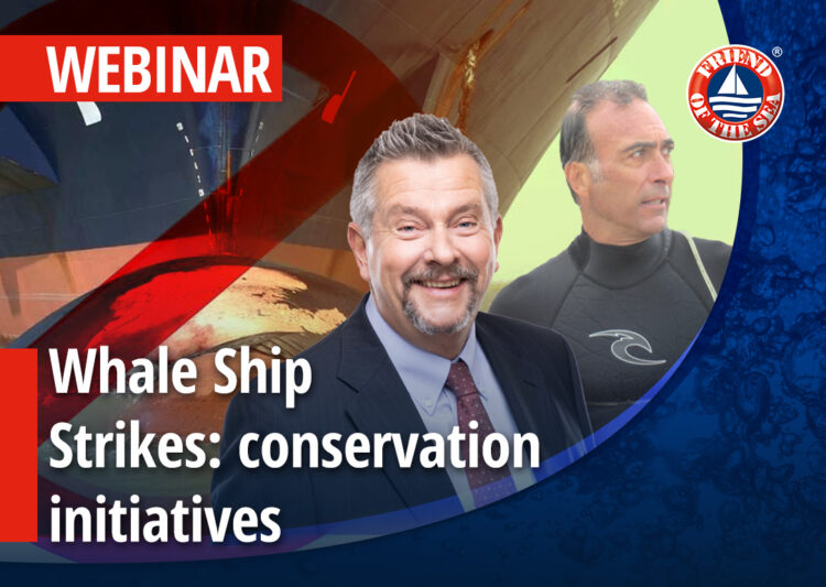 Webinar on “Whale Ship Strikes: conservation initiatives and the Whale Safe project” – 17th of February 2022 at 3:00 pm in Milan, CET post image