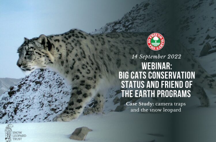 Webinar on big cats conservation status and Friend of the Earth programs. Case Study: camera traps and the snow leopard.  14th of September 2022 at 3PM (Central Europe Time).