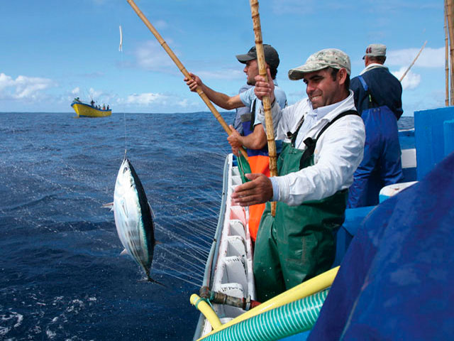 sustainable fisheries