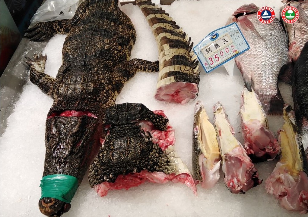 Ban China’s Wildlife Food Markets