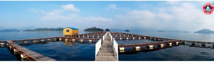 FoS certifies Hangzhou Qiandaohu Xunlong Sci-tech Co. Ltd. For Land-Based Aquaculture post image