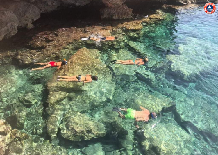 Immersioni sostenibili nelle Isole Pelagie: Friend of the Sea® certifica quattro operatori