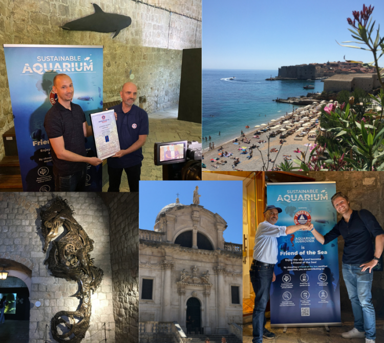 Dubrovnik Aquarium received the Friend of the Sea Sustainable Aquaria Certification. post image