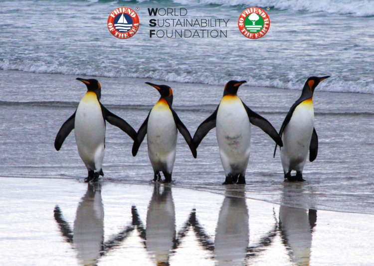 Preserving Our Precious Penguins: A Celebration of World Penguin Awareness Day post image