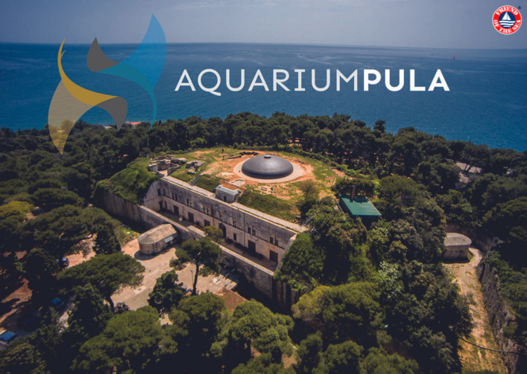 Aquarium Pula, the largest aquarium in Croatia, obtains Friend of the Sea sustainability certification for its outstanding efforts in marine conservation. post image