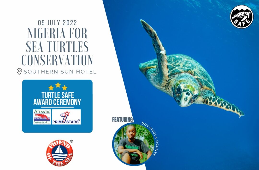 Turtle Safe Awards Ceremony