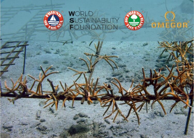 World Sustainability Foundation and Omegor join forces to save corals in Thailand.