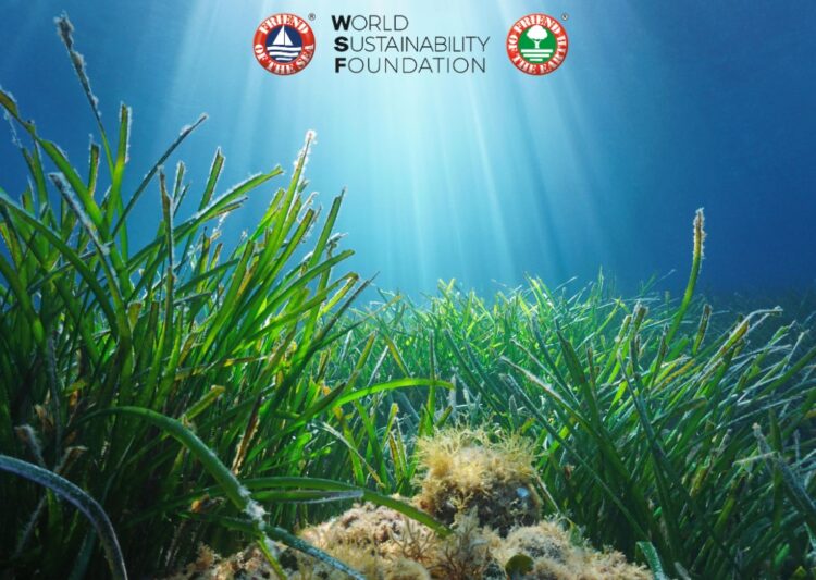 Save the Seagrasses: A Global Campaign to Protect Marine Meadows