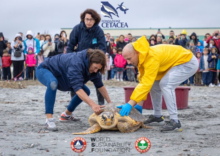 The World Sustainability Foundation Supports Fondazione Cetacea: A Commitment to Protecting Sea Turtles in Italy