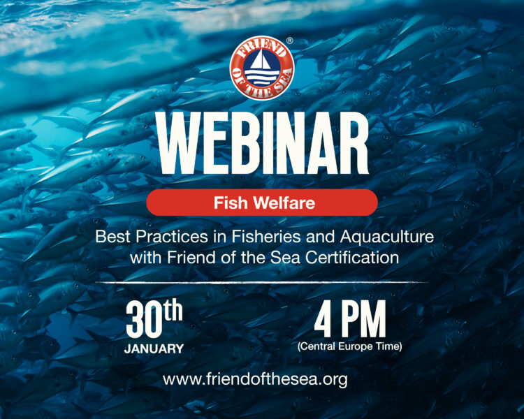 Fish Welfare: Best Practices in Fisheries and Aquaculture with Friend of the Sea Certification