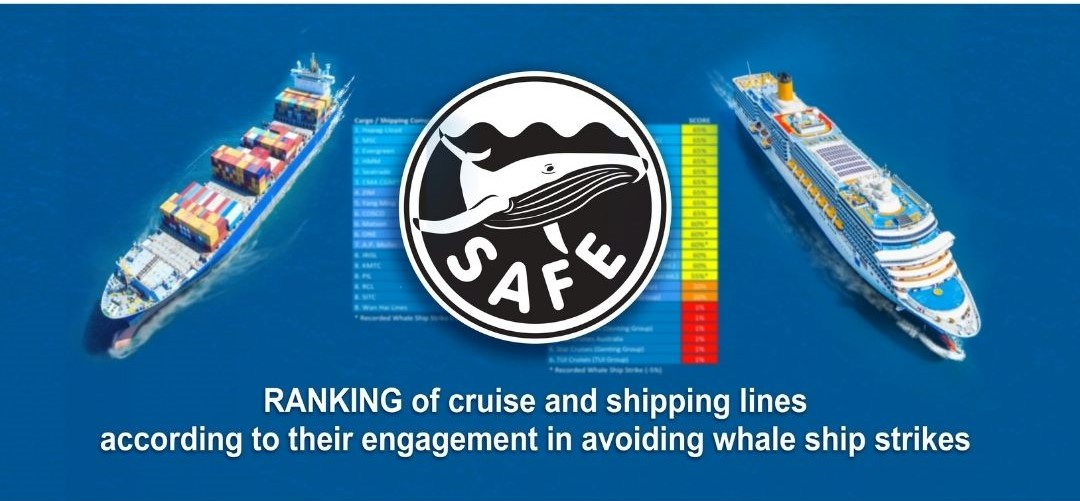 ranks shipping and cruise lines